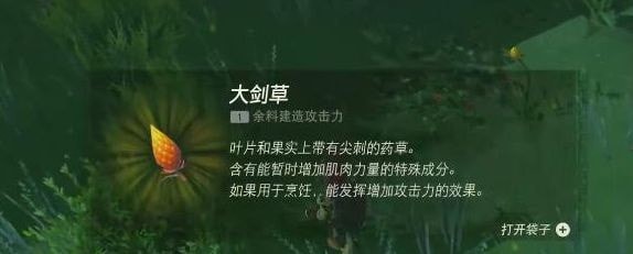 塞尔达传说王国之泪大剑草位置在哪-王国之泪大剑草获取位置分享