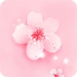 泡芙短视频安装包下载大全