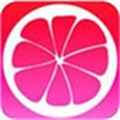 新大师兄影视app下载大全