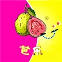 芭乐视频下载app官方