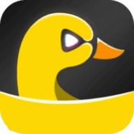 夜月直播软件下载入口